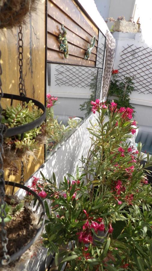 Le Petit Patio Bed & Breakfast Aigues-Mortes Eksteriør bilde