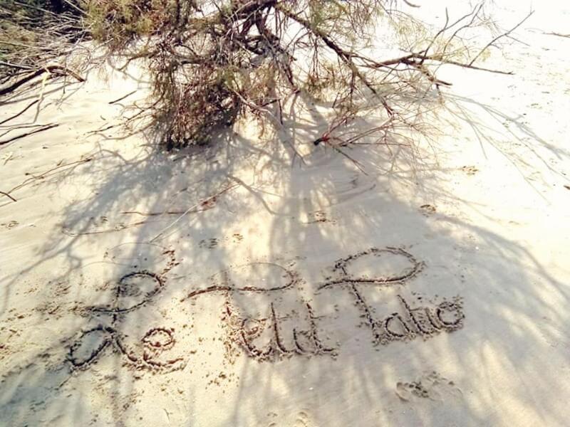 Le Petit Patio Bed & Breakfast Aigues-Mortes Eksteriør bilde