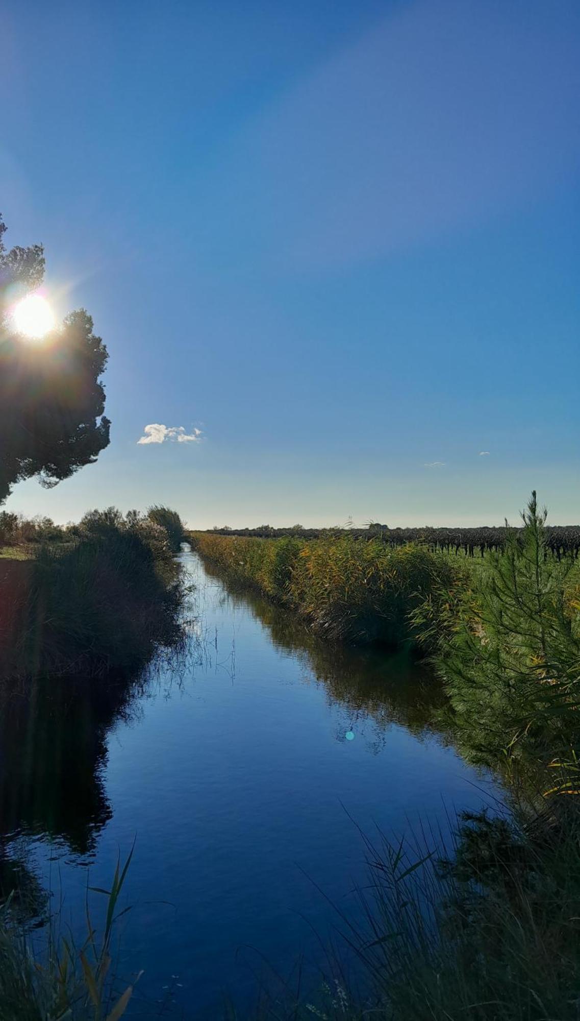 Le Petit Patio Bed & Breakfast Aigues-Mortes Eksteriør bilde