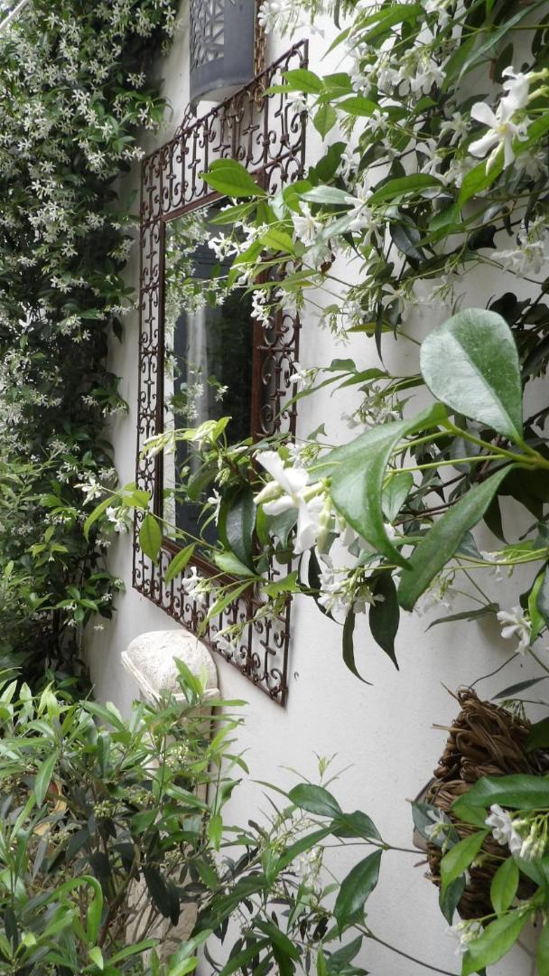 Le Petit Patio Bed & Breakfast Aigues-Mortes Eksteriør bilde