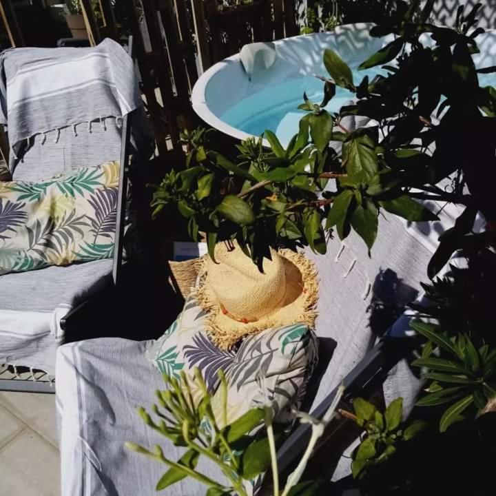 Le Petit Patio Bed & Breakfast Aigues-Mortes Eksteriør bilde