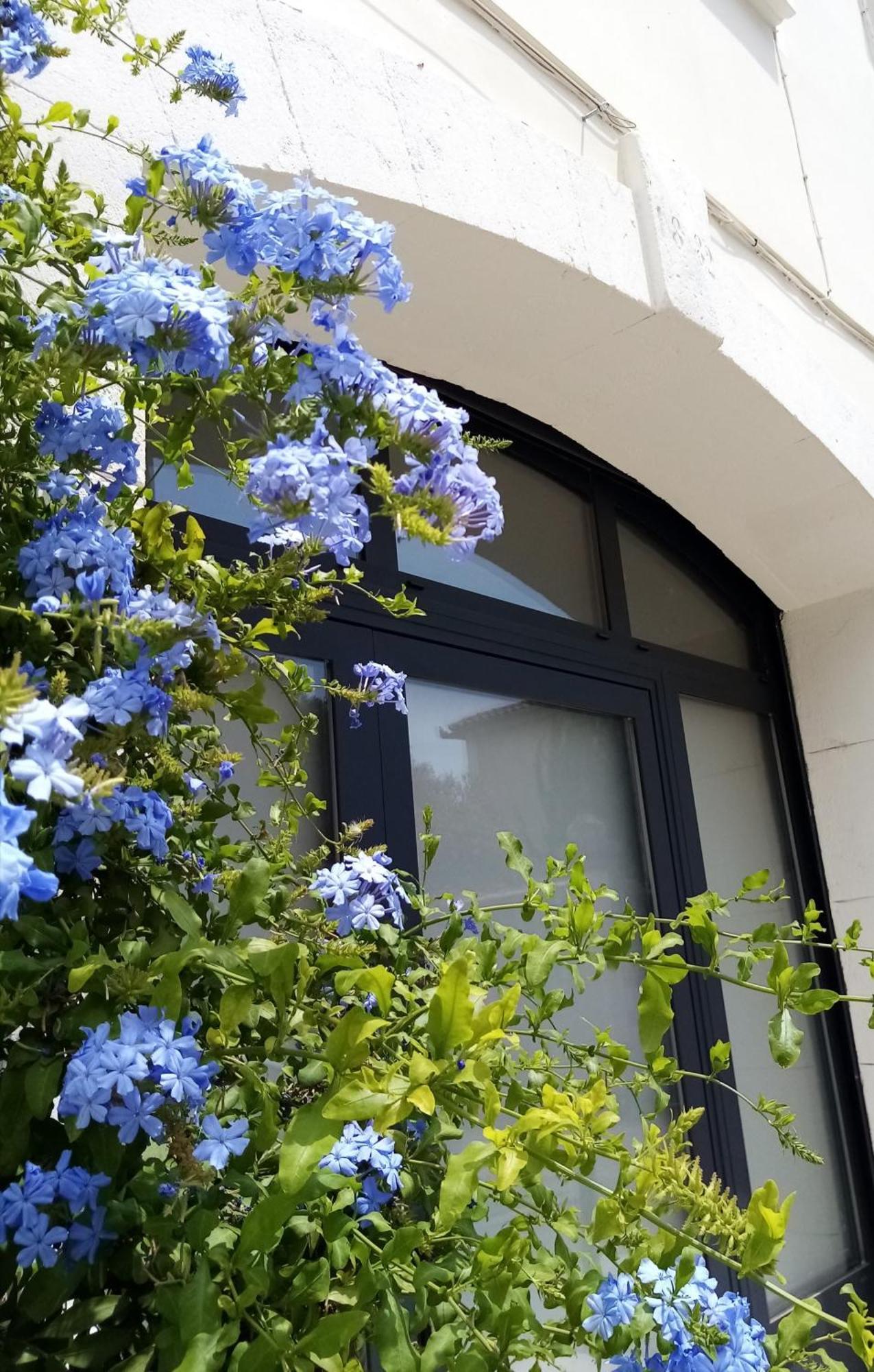 Le Petit Patio Bed & Breakfast Aigues-Mortes Eksteriør bilde