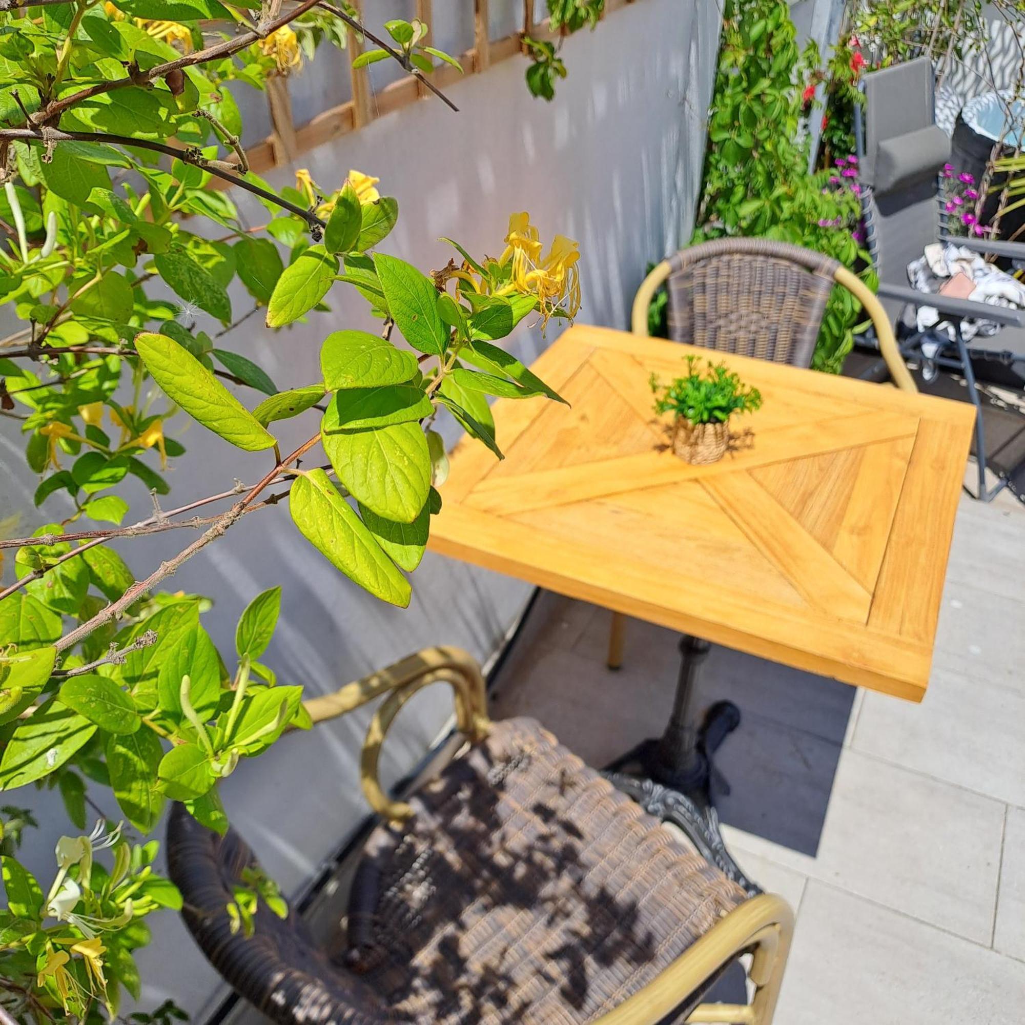 Le Petit Patio Bed & Breakfast Aigues-Mortes Eksteriør bilde