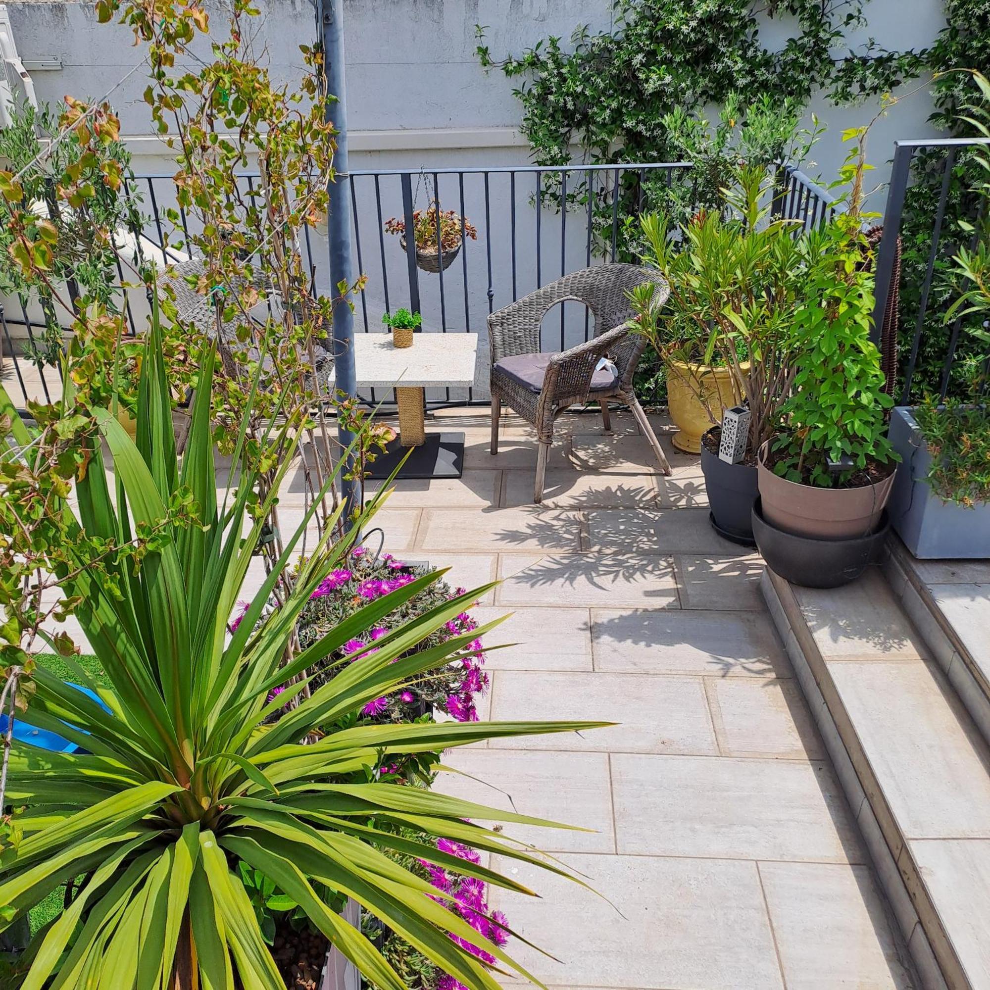 Le Petit Patio Bed & Breakfast Aigues-Mortes Eksteriør bilde