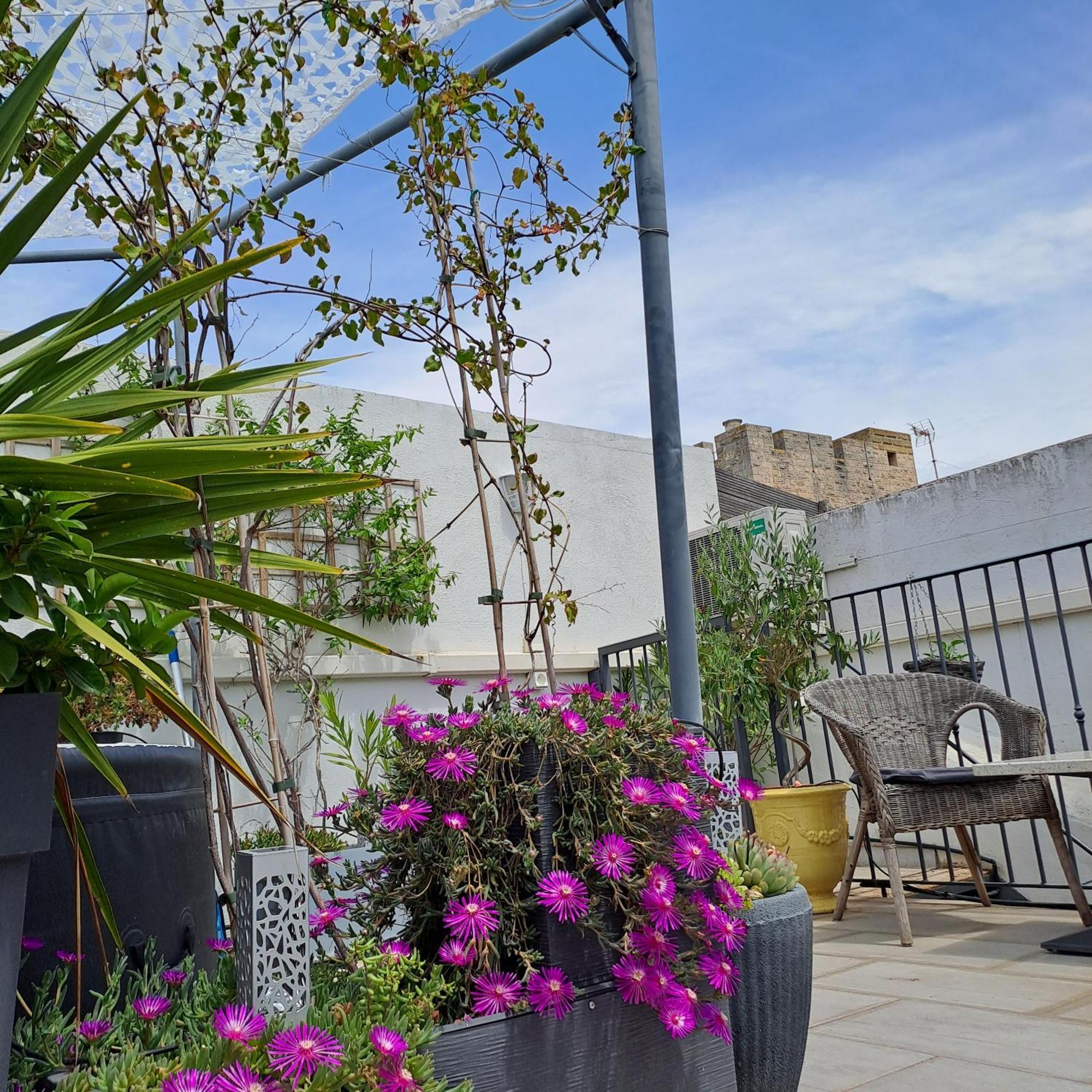 Le Petit Patio Bed & Breakfast Aigues-Mortes Eksteriør bilde