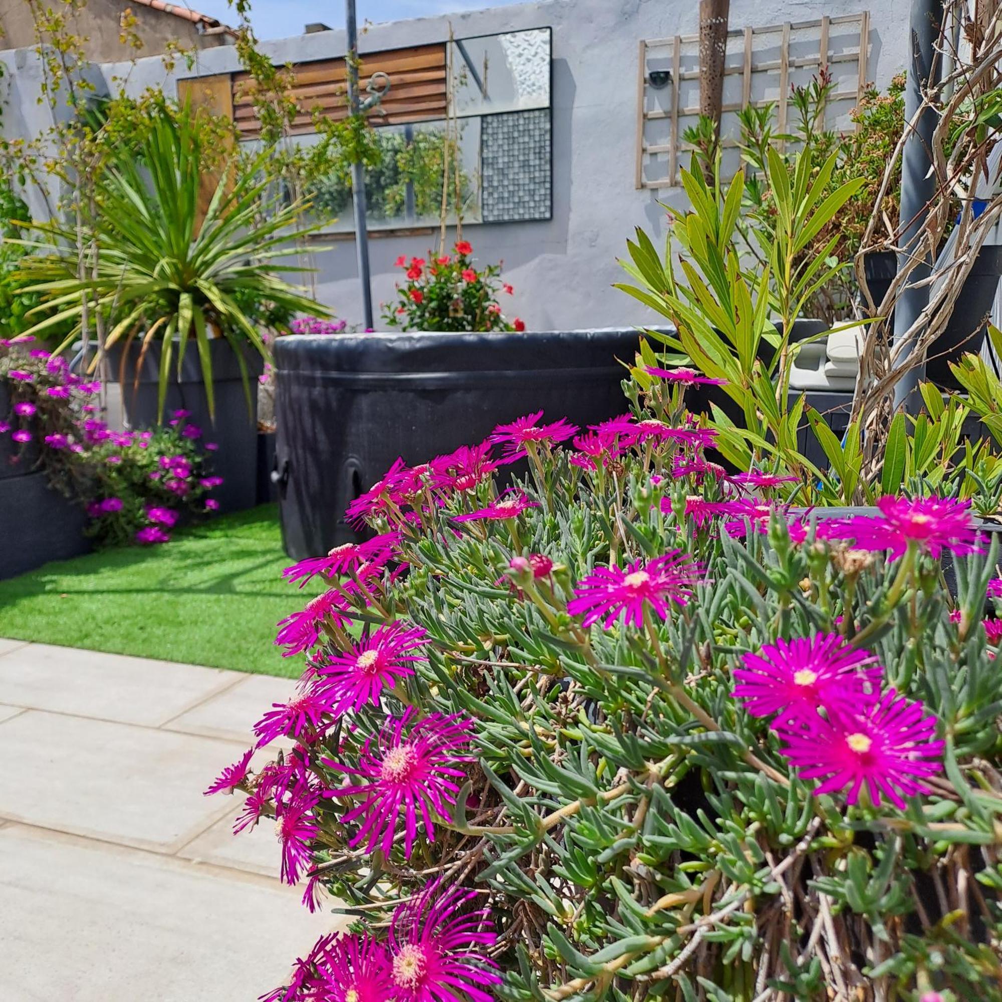 Le Petit Patio Bed & Breakfast Aigues-Mortes Eksteriør bilde